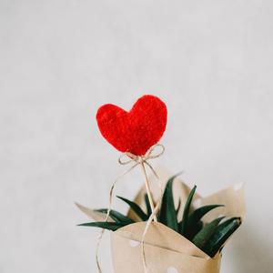 宅男视频在线入口播放
